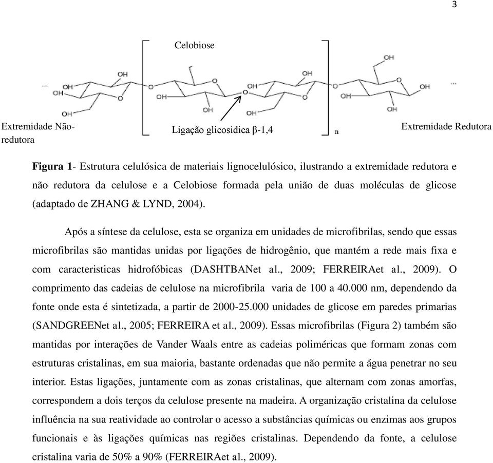 Após a síntese da celulose, esta se organiza em unidades de microfibrilas, sendo que essas microfibrilas são mantidas unidas por ligações de hidrogênio, que mantém a rede mais fixa e com