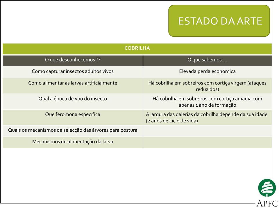 específica Quais os mecanismos de selecção das árvores para postura O que sabemos.