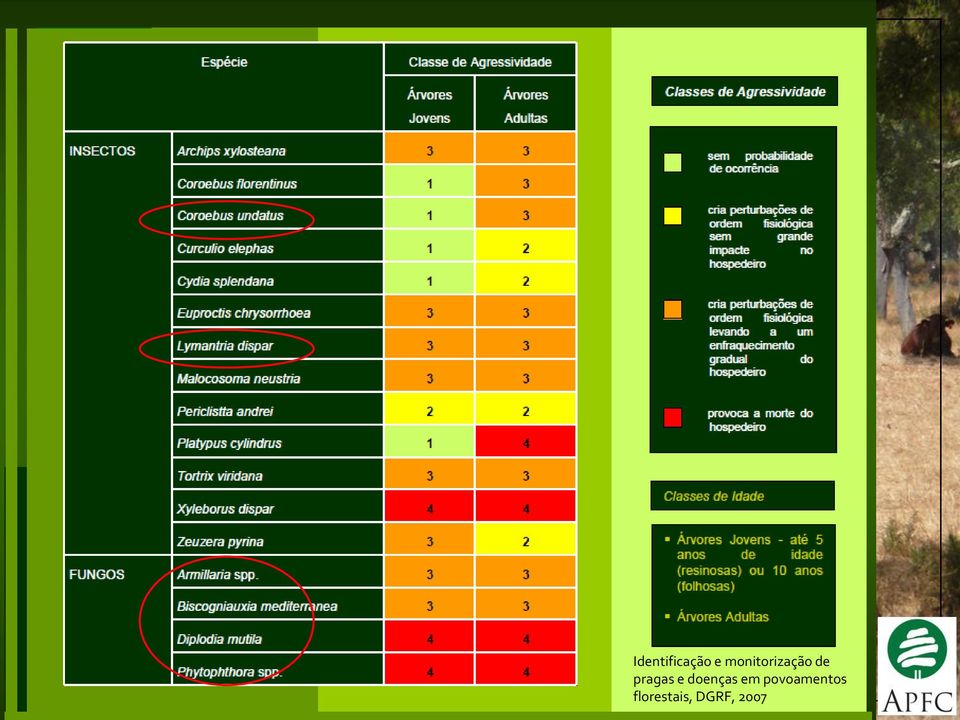 Identificação e monitorização de pragas