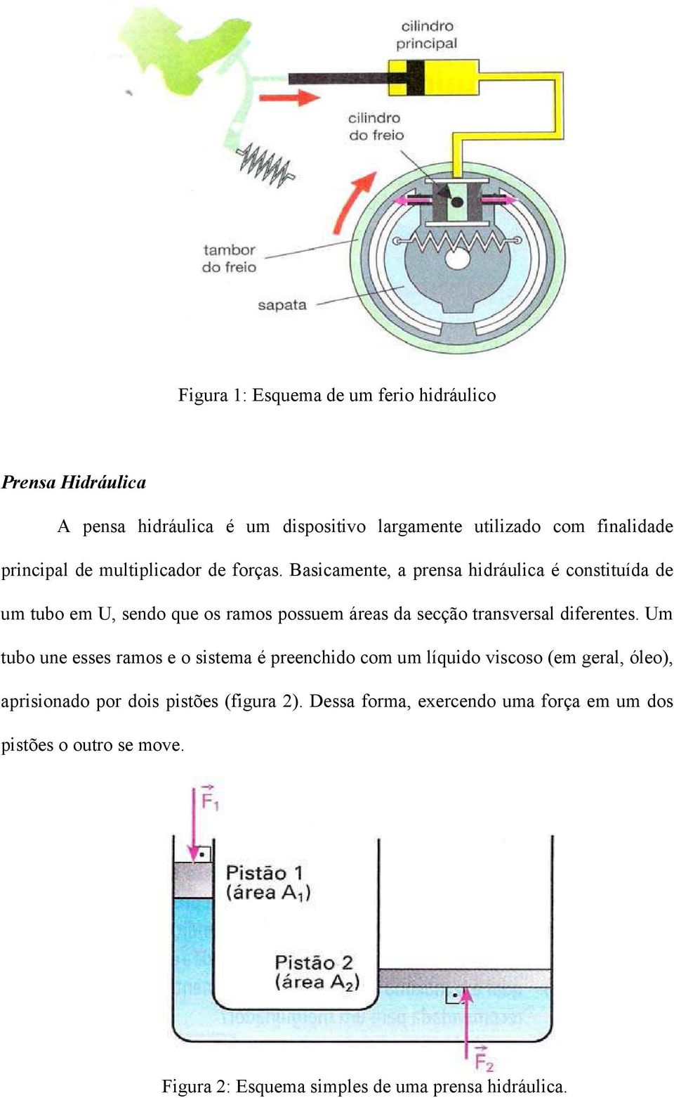 Basicamente, a prensa hidráulica é constituída de um tubo em U, sendo que os ramos possuem áreas da secção transversal diferentes.