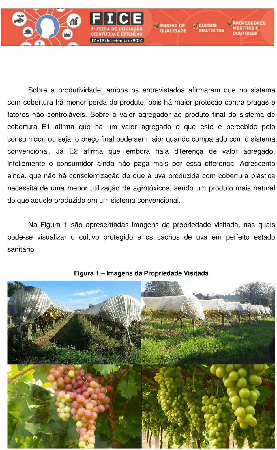 o sistema convencional. Já E2 afirma que embora haja diferença de valor agregado, infelizmente o consumidor ainda não paga mais por essa diferença.