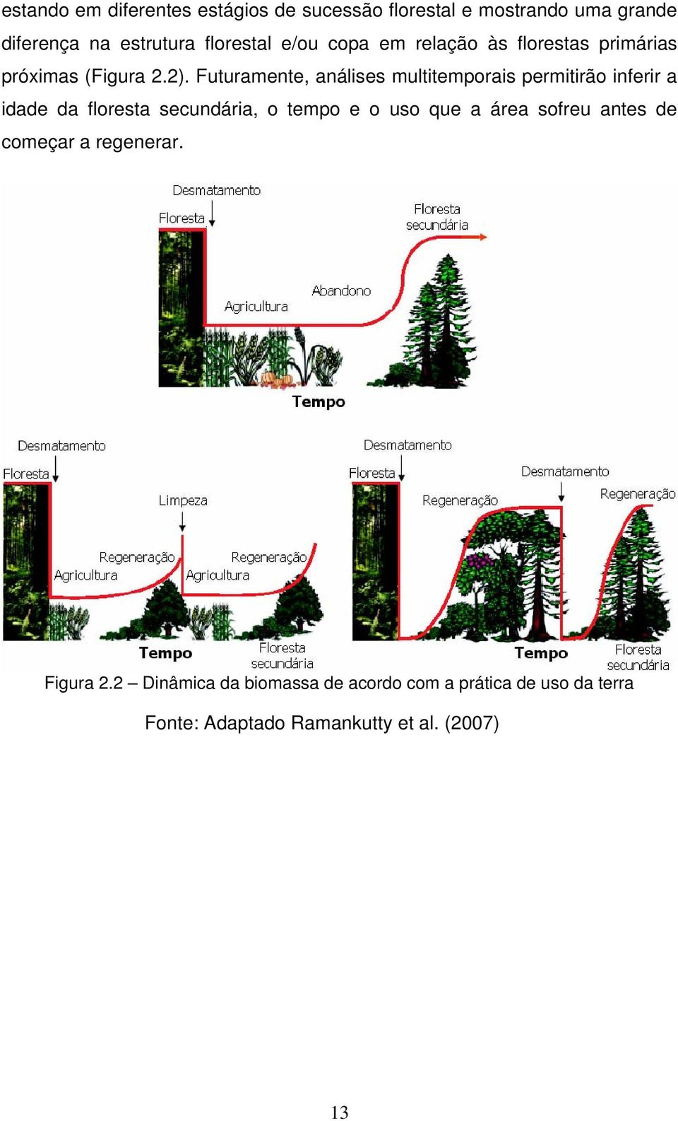 Futuramente, análises multitemporais permitirão inferir a idade da floresta secundária, o tempo e o uso que a