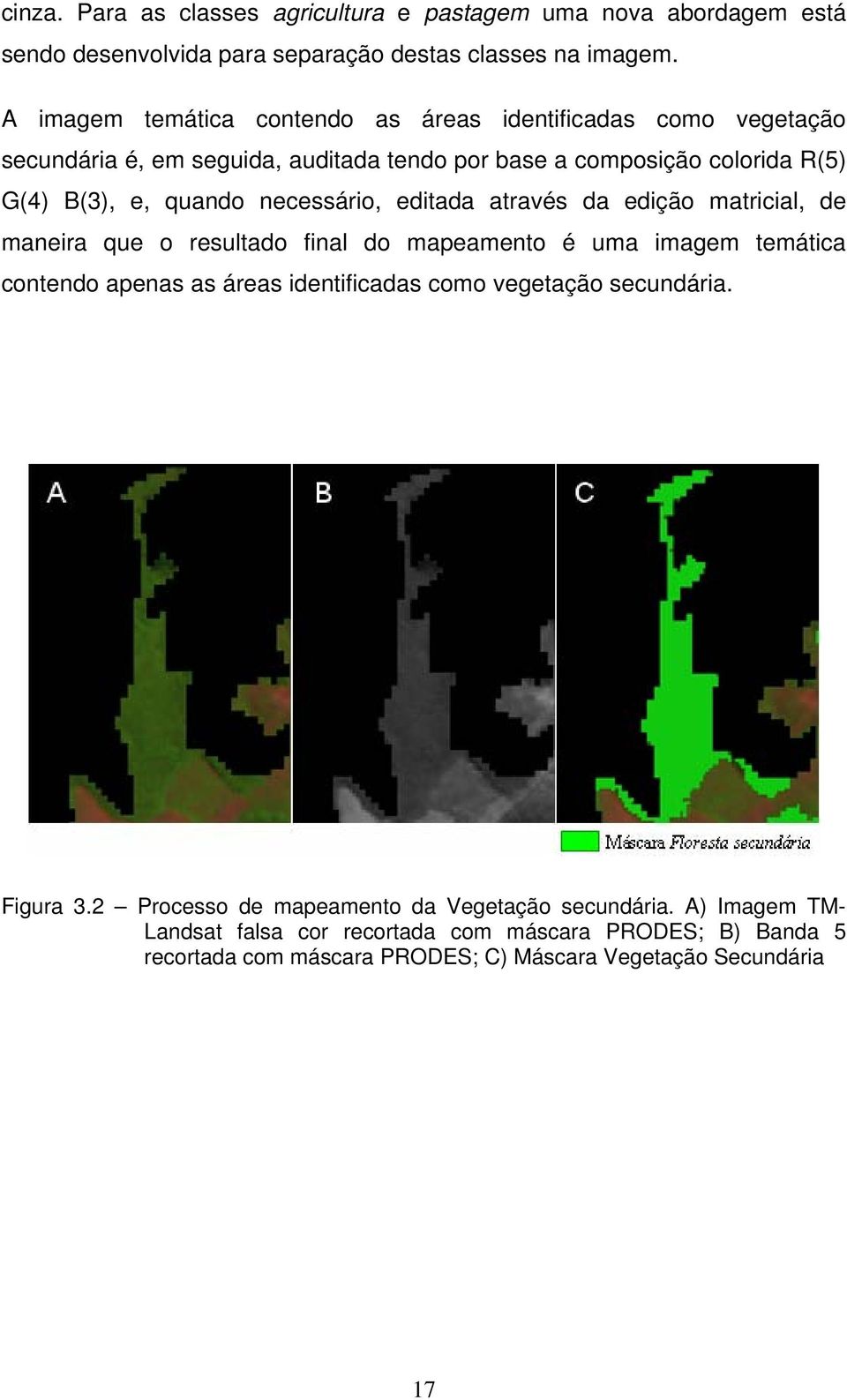 necessário, editada através da edição matricial, de maneira que o resultado final do mapeamento é uma imagem temática contendo apenas as áreas identificadas como