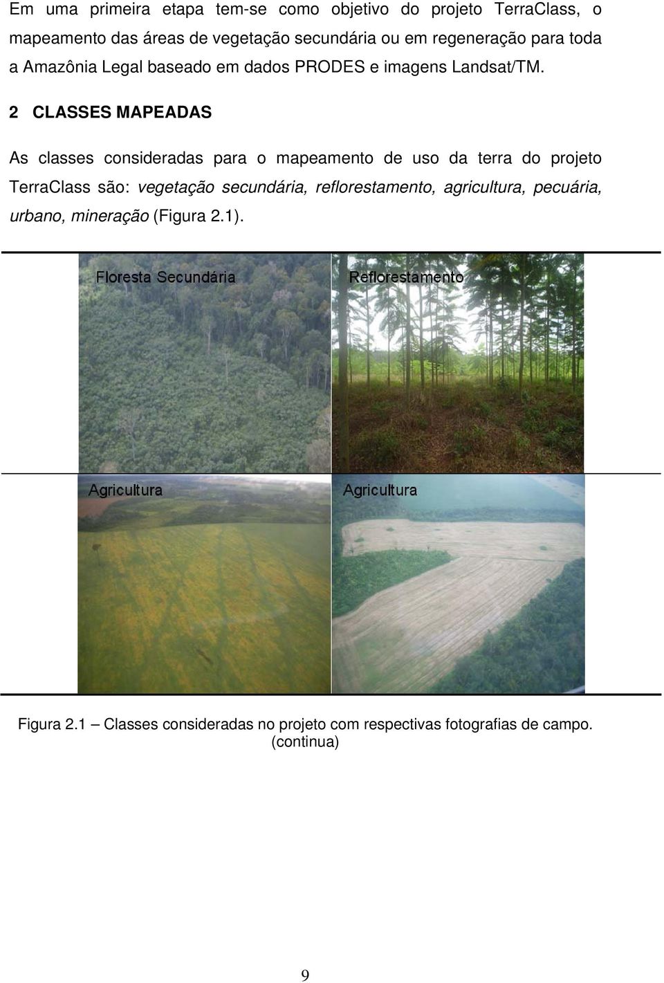 2 CLASSES MAPEADAS As classes consideradas para o mapeamento de uso da terra do projeto TerraClass são: vegetação