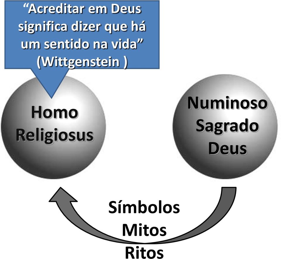 (Wittgenstein ) Homo Religiosus