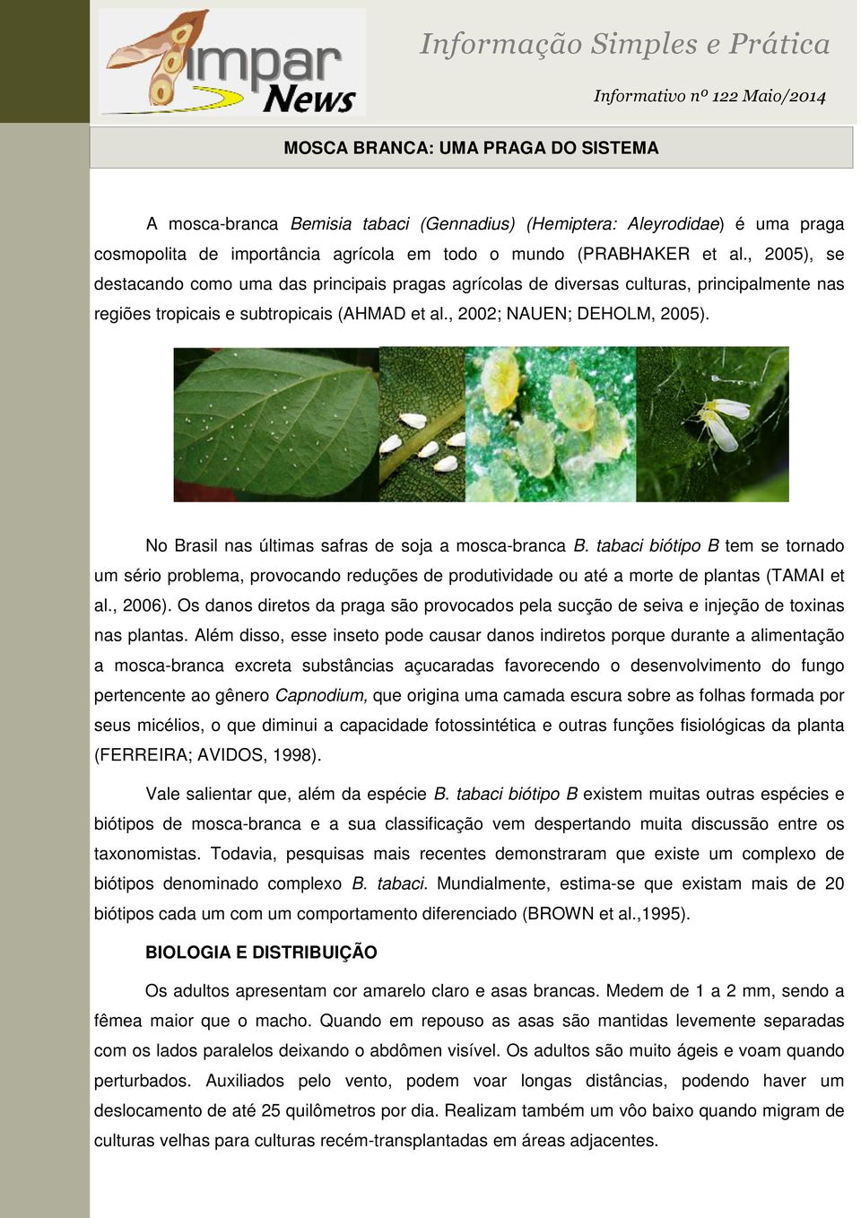 No Brasil nas últimas safras de soja a mosca-branca B. tabaci biótipo B tem se tornado um sério problema, provocando reduções de produtividade ou até a morte de plantas (TAMAI et al., 2006).