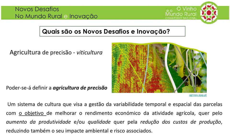 objetivo de melhorar o rendimento económico da atividade agrícola, quer pelo aumento da produtividade