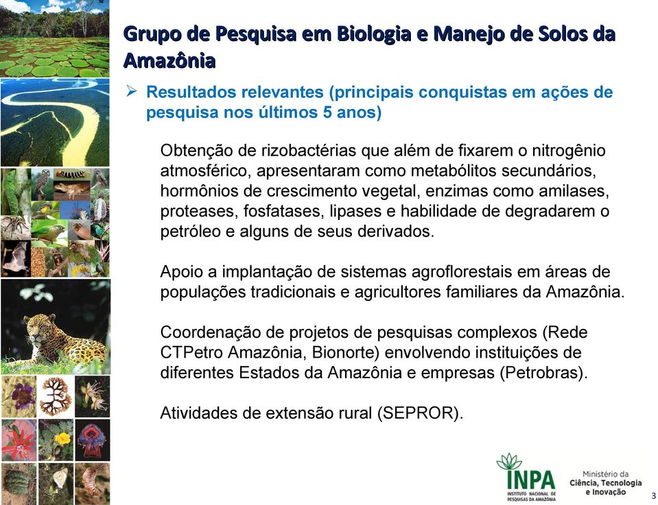 habilidade de degradarem o petróleo e alguns de seus derivados. Apoio a implantação de sistemas agroflorestais em áreas de populações tradicionais e agricultores familiares da.