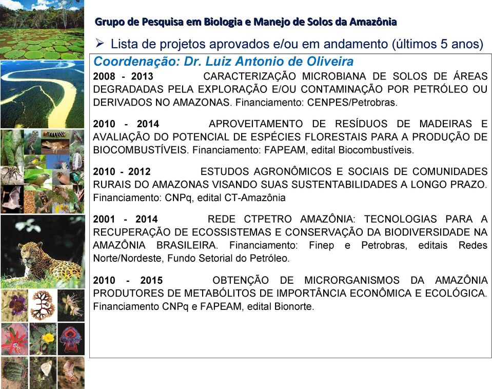 2010-2014 APROVEITAMENTO DE RESÍDUOS DE MADEIRAS E AVALIAÇÃO DO POTENCIAL DE ESPÉCIES FLORESTAIS PARA A PRODUÇÃO DE BIOCOMBUSTÍVEIS. Financiamento: FAPEAM, edital Biocombustíveis.