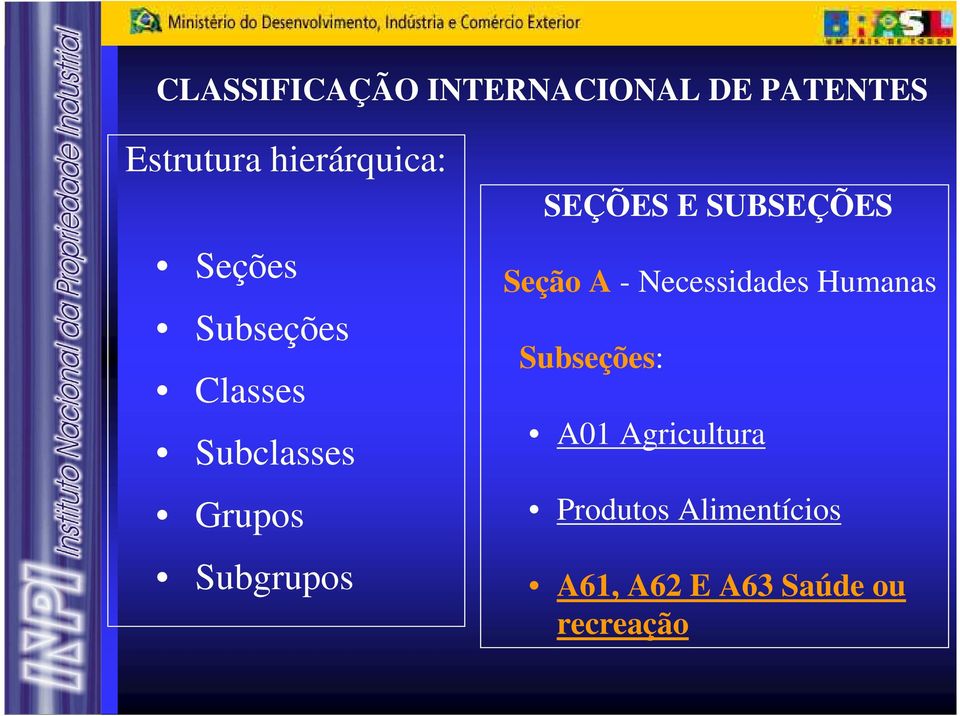 Subgrupos SEÇÕES E SUBSEÇÕES Seção A - Necessidades Humanas