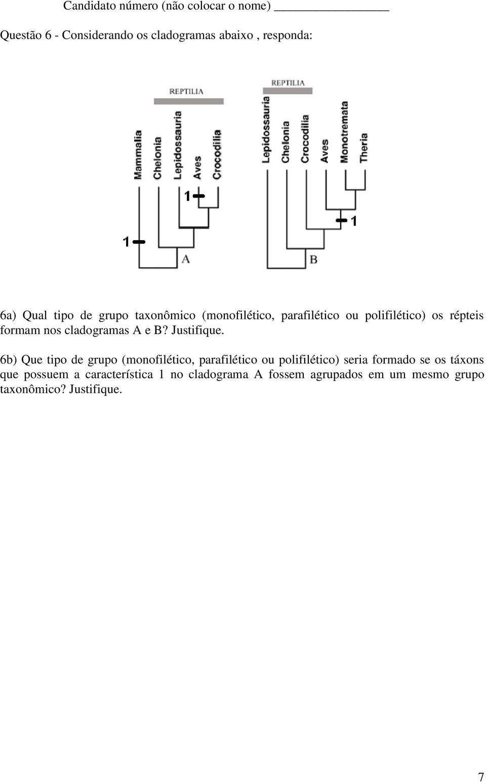 6b) Que tipo de grupo (monofilético, parafilético ou polifilético) seria formado se os táxons que