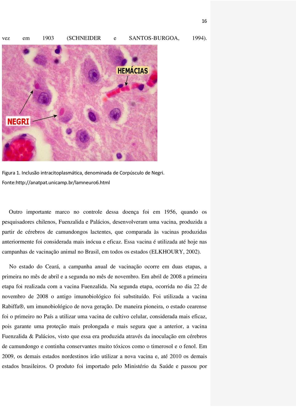 lactentes, que comparada às vacinas produzidas anteriormente foi considerada mais inócua e eficaz.