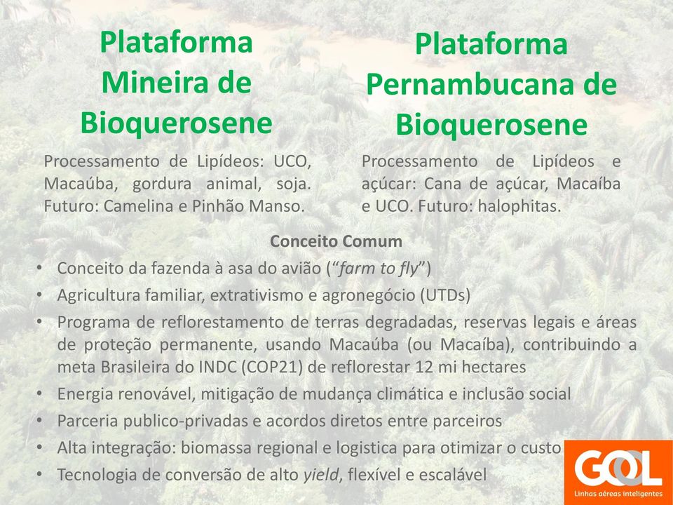 Conceito Comum Conceito da fazenda à asa do avião ( farm to fly ) Agricultura familiar, extrativismo e agronegócio (UTDs) Programa de reflorestamento de terras degradadas, reservas legais e áreas de