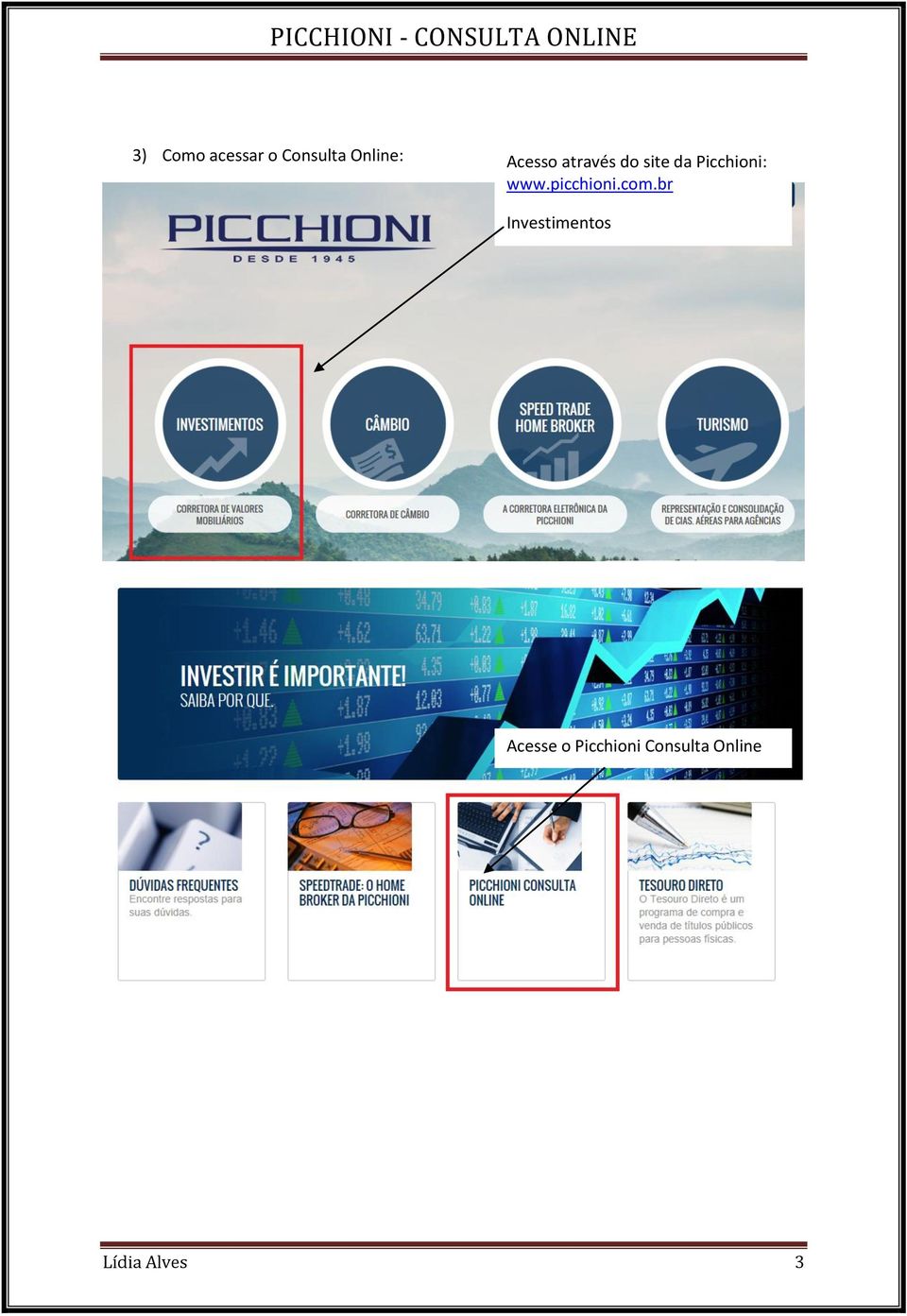www.picchioni.com.