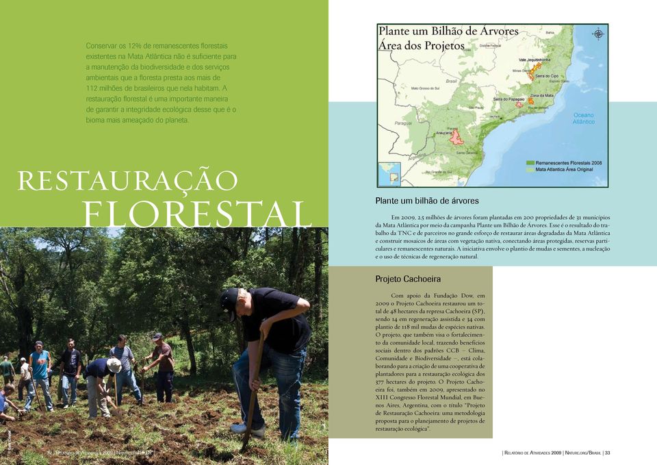 Restauração Florestal Plante um bilhão de árvores Em 2009, 2,5 milhões de árvores foram plantadas em 200 propriedades de 31 municípios da Mata Atlântica por meio da campanha Plante um Bilhão de