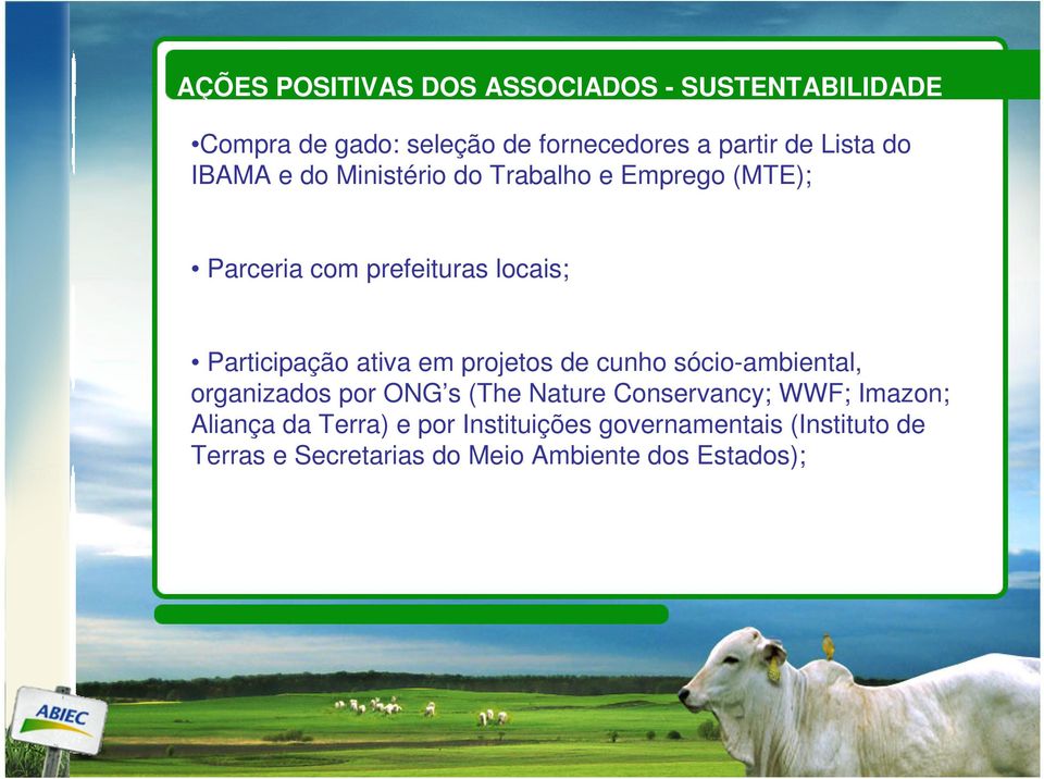 em projetos de cunho sócio-ambiental, organizados por ONG s (The Nature Conservancy; WWF; Imazon; Aliança