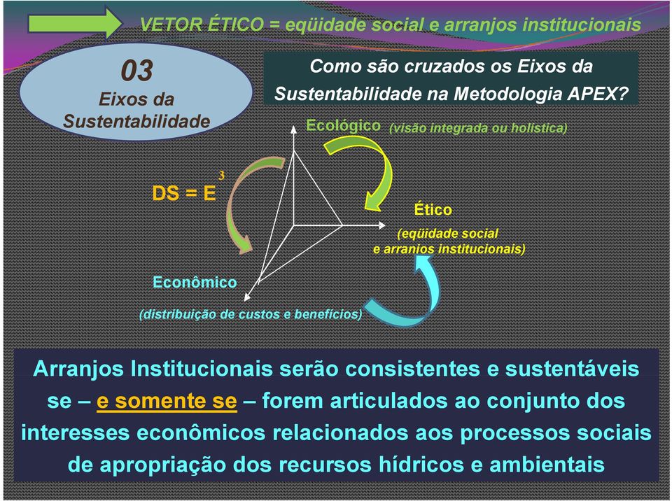 Sustentabilidade Ecológico (visão integrada ou holística) DS = E 3 Ético (eqüidade social e arranjos institucionais) Econômico