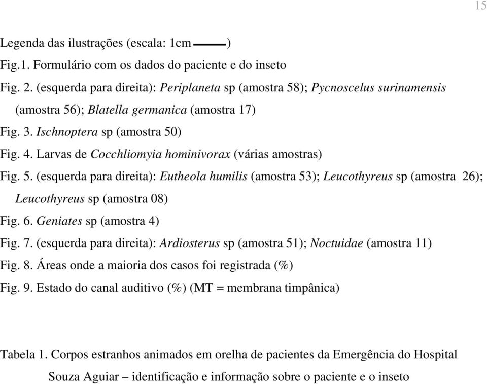 Larvas de Cocchliomyia hominivorax (várias amostras) Fig. 5. (esquerda para direita): Eutheola humilis (amostra 53); Leucothyreus sp (amostra 26); Leucothyreus sp (amostra 08) Fig. 6.