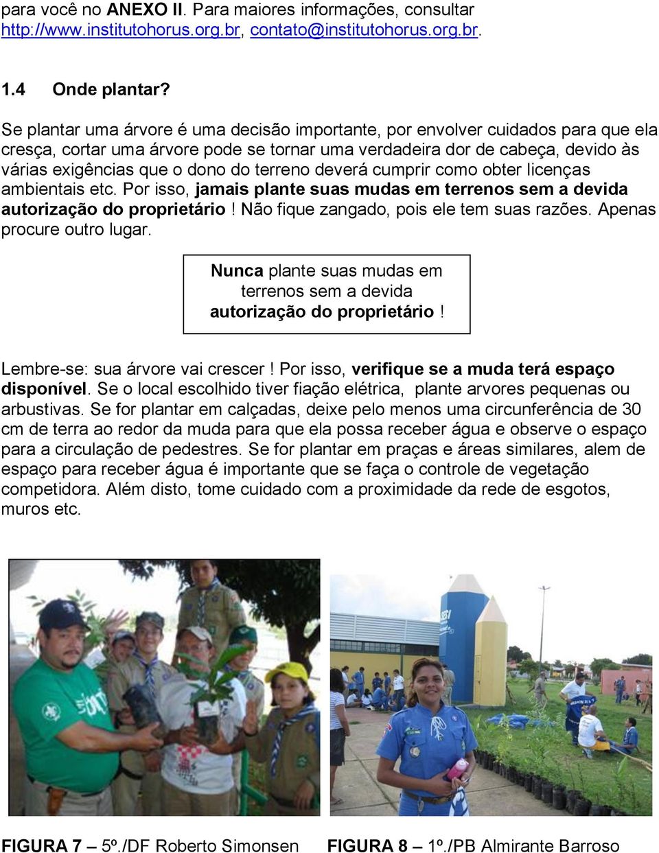 terreno deverá cumprir como obter licenças ambientais etc. Por isso, jamais plante suas mudas em terrenos sem a devida autorização do proprietário! Não fique zangado, pois ele tem suas razões.