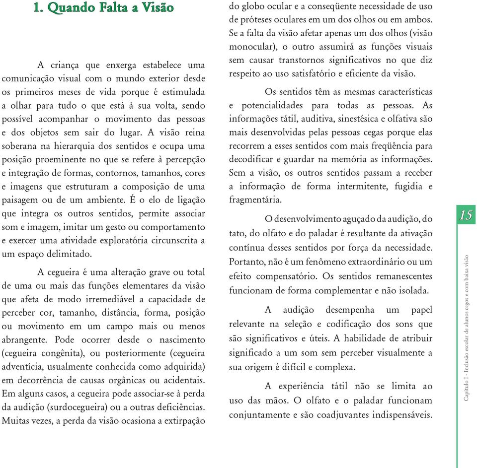 A visão reina soberana na hierarquia dos sentidos e ocupa uma posição proeminente no que se refere à percepção e integração de formas, contornos, tamanhos, cores e imagens que estruturam a composição