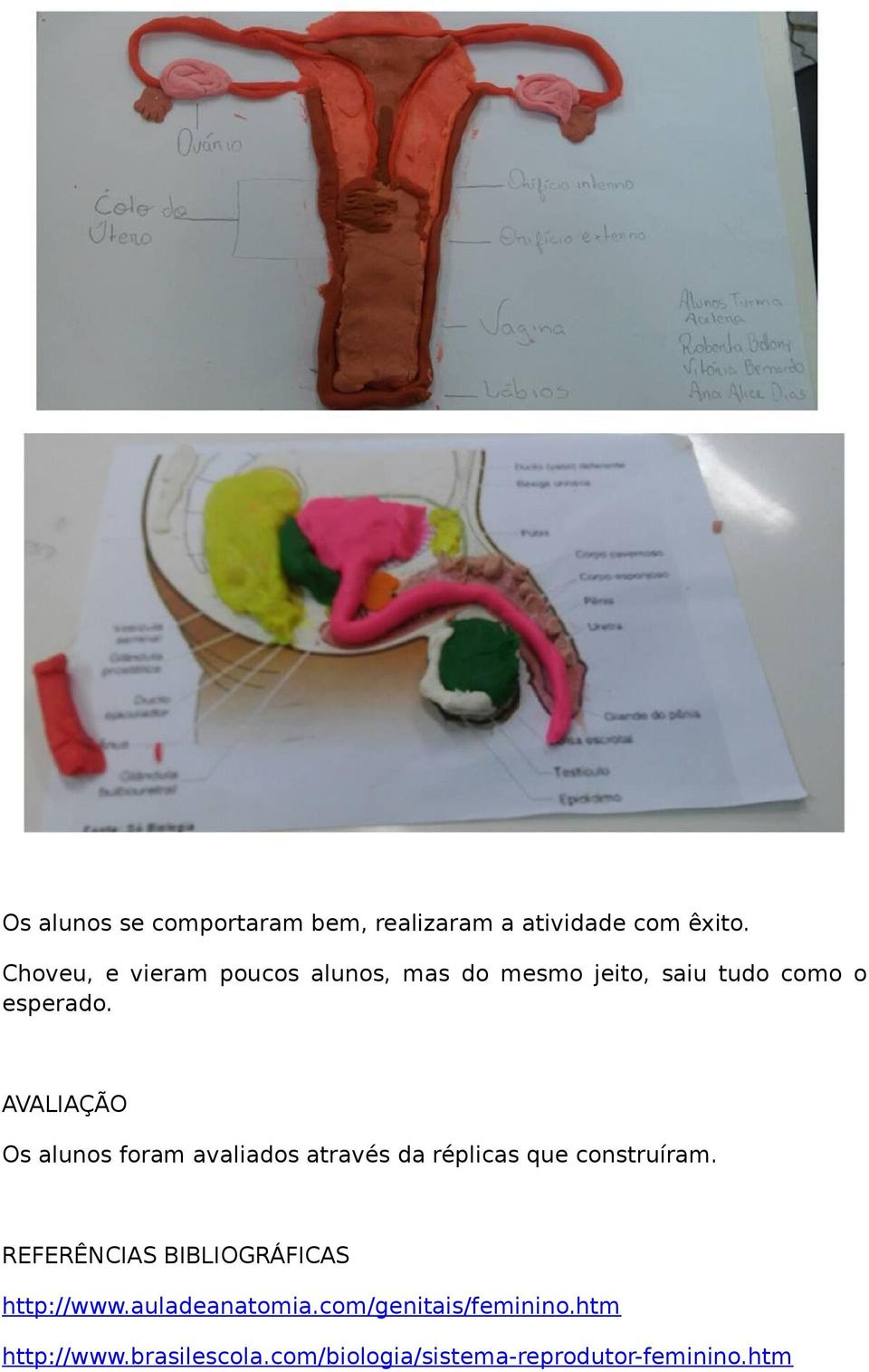 AVALIAÇÃO Os alunos foram avaliados através da réplicas que construíram.