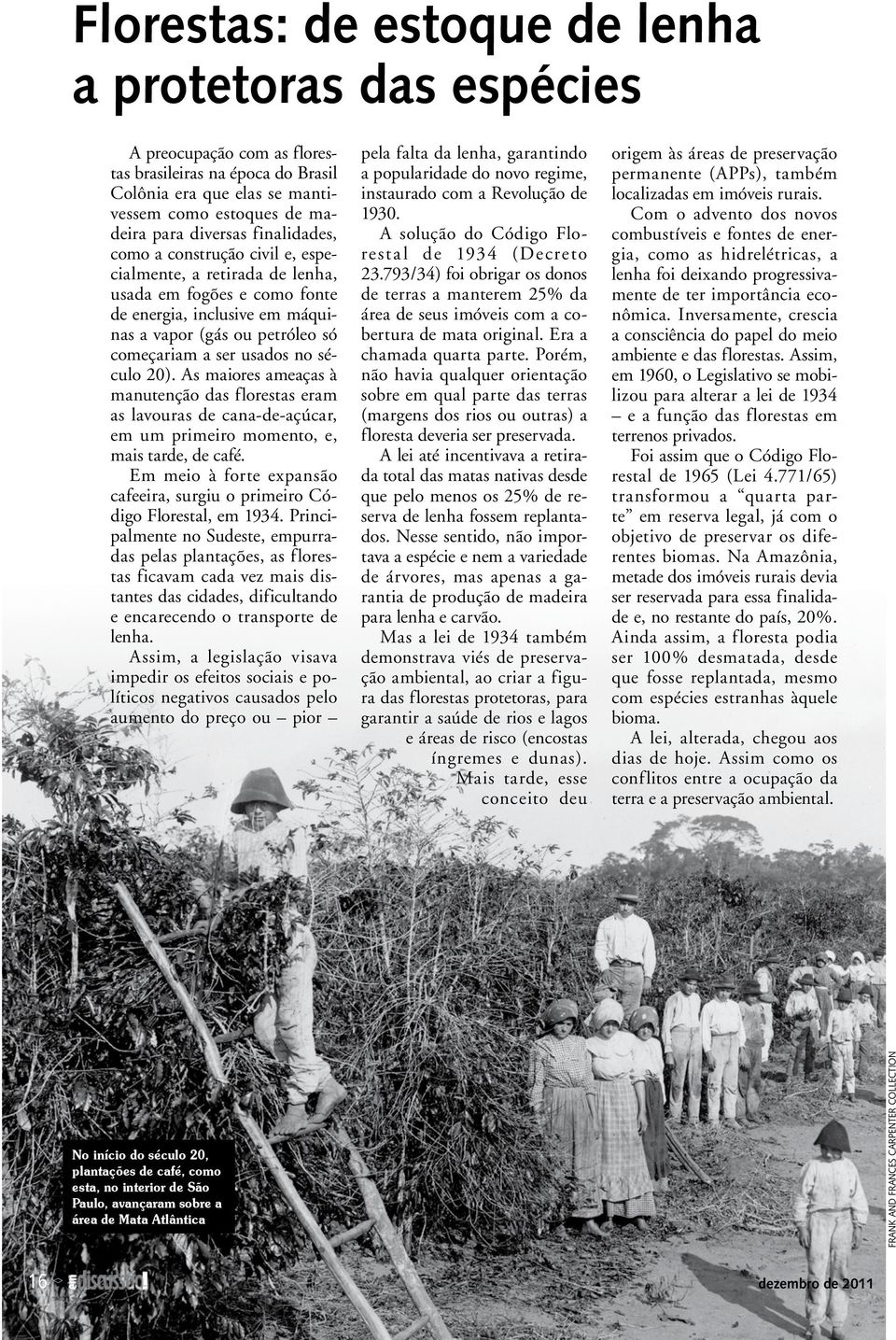 século 20). As maiores ameaças à manutenção das florestas eram as lavouras de cana-de-açúcar, em um primeiro momento, e, mais tarde, de café.