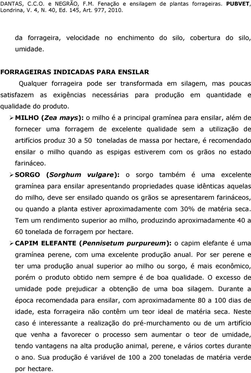 MILHO (Zea mays): o milho é a principal gramínea para ensilar, além de fornecer uma forragem de excelente qualidade sem a utilização de artifícios produz 30 a 50 toneladas de massa por hectare, é