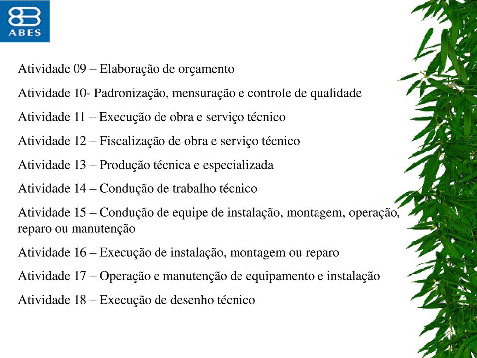 Condução de trabalho técnico Atividade 15 Condução de equipe de instalação, montagem, operação, reparo ou manutenção Atividade 16