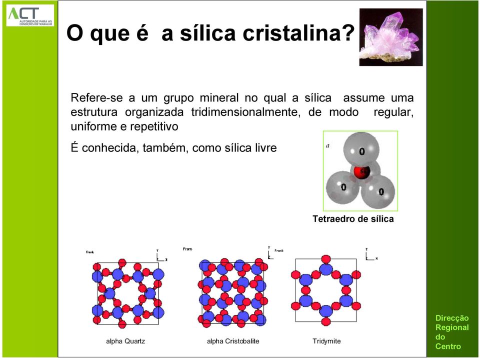 uma estrutura organizada tridimensionalmente, de mo