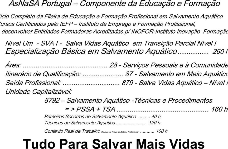 .. 87 - Salvamento em Meio Aquático Saída Profissional:.