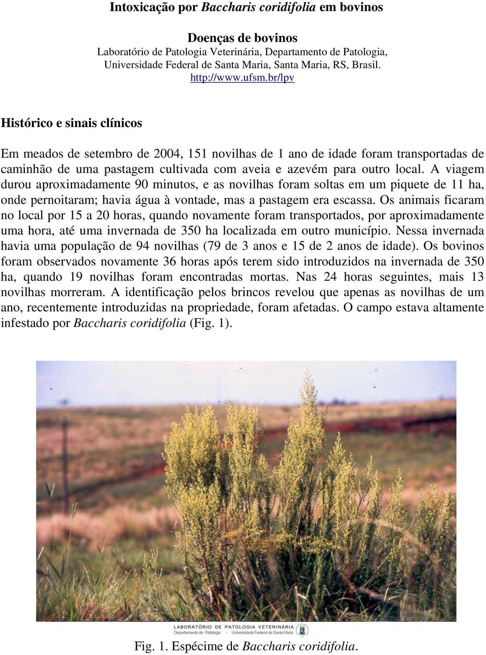 br/lpv Histórico e sinais clínicos Em meados de setembro de 2004, 151 novilhas de 1 ano de idade foram transportadas de caminhão de uma pastagem cultivada com aveia e azevém para outro local.