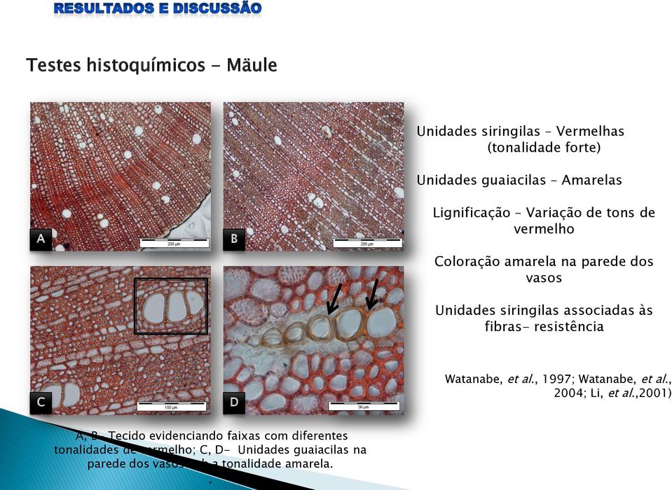 fibras- resistência C D Watanabe, et al., 1997; Watanabe, et al., 2004; Li, et al.