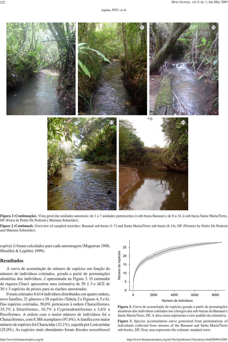 Figure 2 (Continued). Overview of sampled stretches: Bananal sub-basin (1-7) and Santa Maria/Torto sub-basin (8-14), DF (Pictures by Pedro De Podestà and Mariana Schneider).