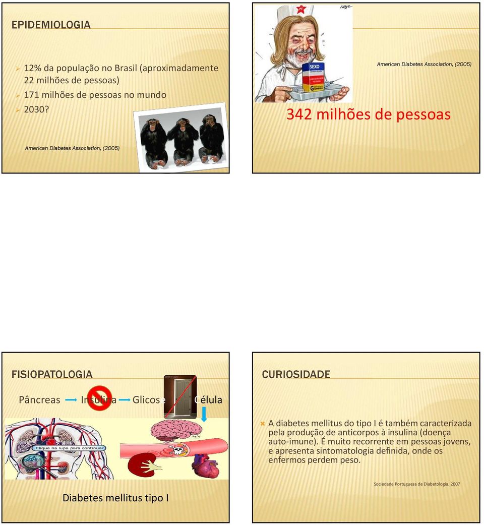 342 milhões de pessoas American Diabetes Association, (2005) Pâncreas Insulina Glicose Célula A diabetes mellitus do tipo I é