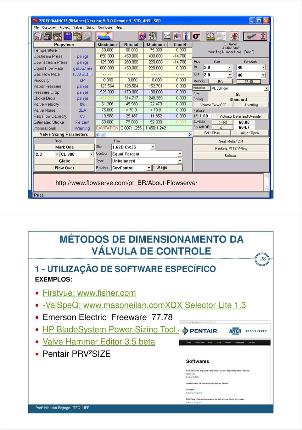 UTILIZAÇÃO DE SOFTWARE ESPECÍFICO EXEMPLOS: 28 Firstvue: www.fisher.com -ValSpeQ: www.