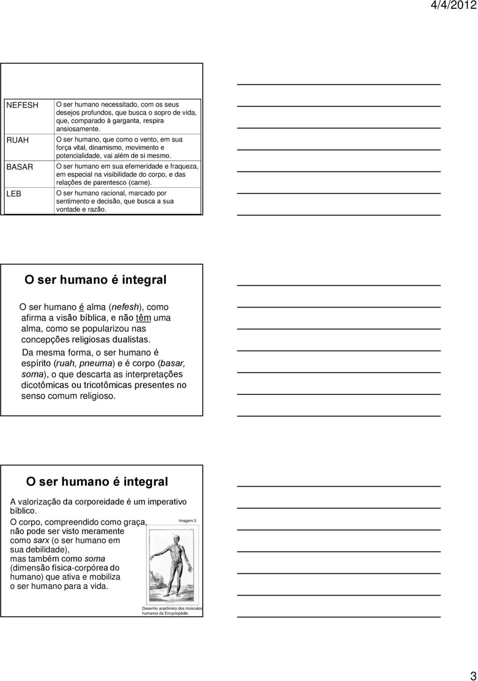 O ser humano em sua efemeridade e fraqueza, em especial na visibilidade do corpo, e das relações de parentesco (carne).