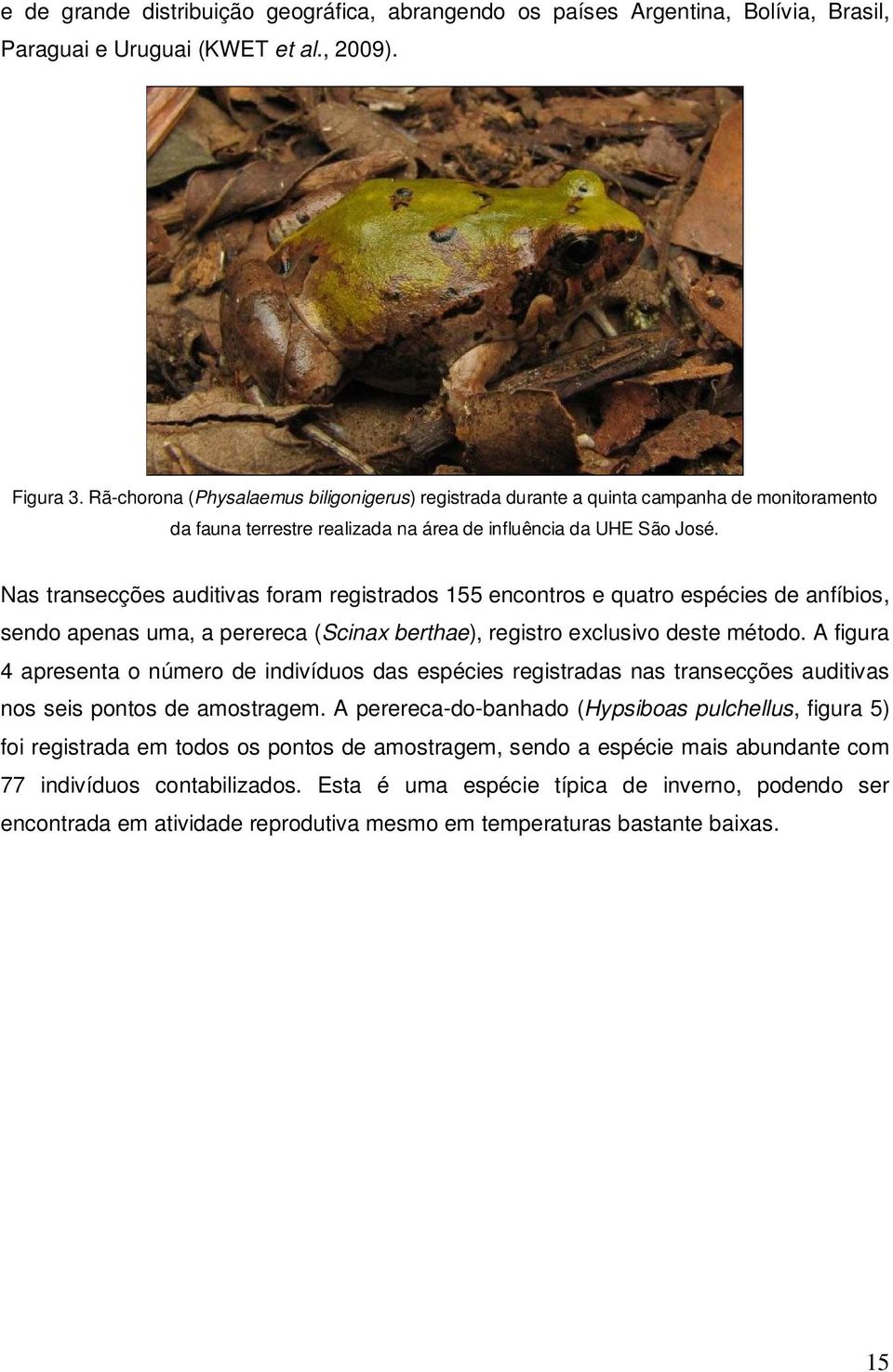 Nas transecções auditivas foram registrados 155 encontros e quatro espécies de anfíbios, sendo apenas uma, a perereca (Scinax berthae), registro exclusivo deste método.