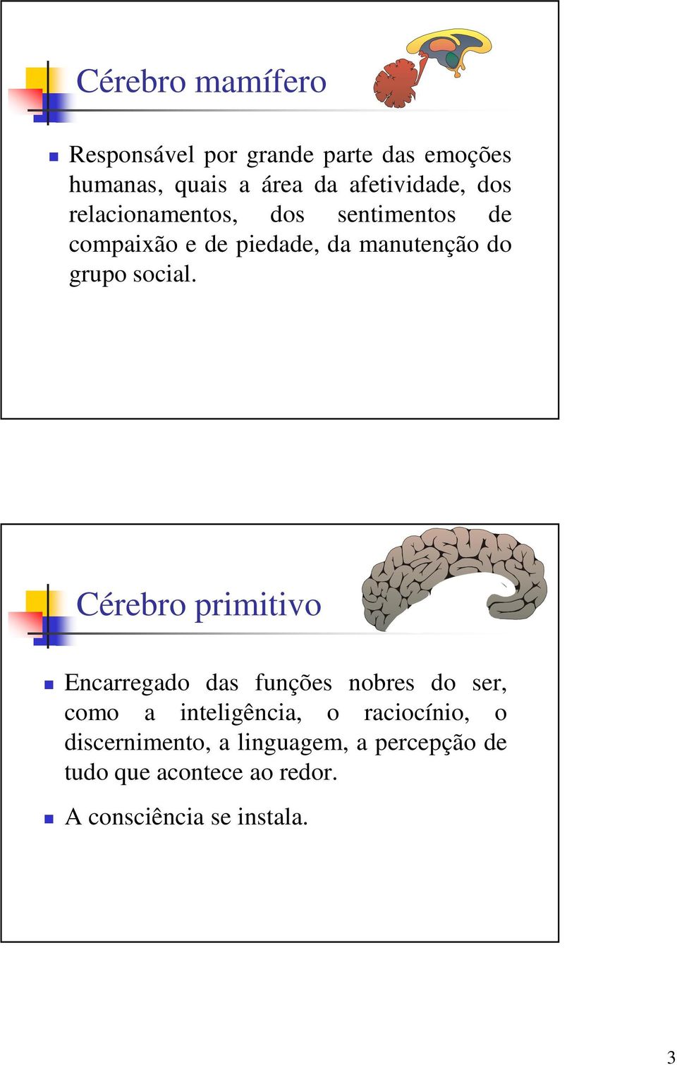 Cérebro primitivo Encarregado das funções nobres do ser, como a inteligência, o raciocínio, o