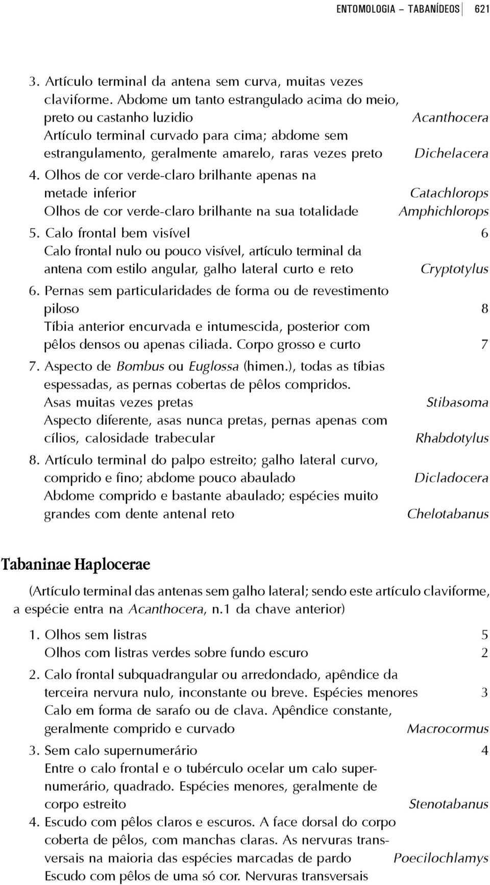 Olhos de cor verde-claro brilhante apenas na metade inferior Catachlorops Olhos de cor verde-claro brilhante na sua totalidade Amphichlorops 5.