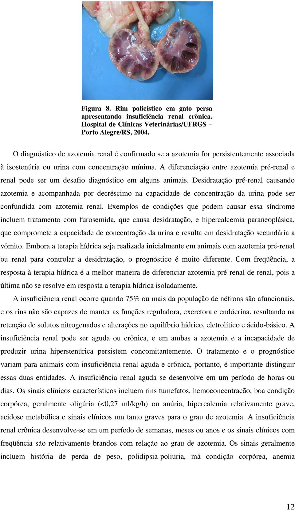 A diferenciação entre azotemia pré-renal e renal pode ser um desafio diagnóstico em alguns animais.