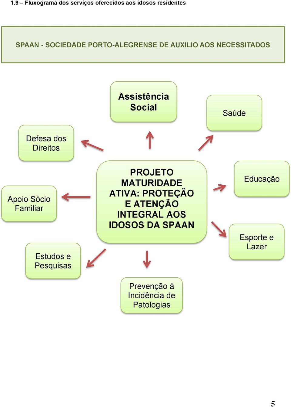 Direitos Apoio Sócio Familiar Estudos e Pesquisas PROJETO MATURIDADE ATIVA: PROTEÇÃO E