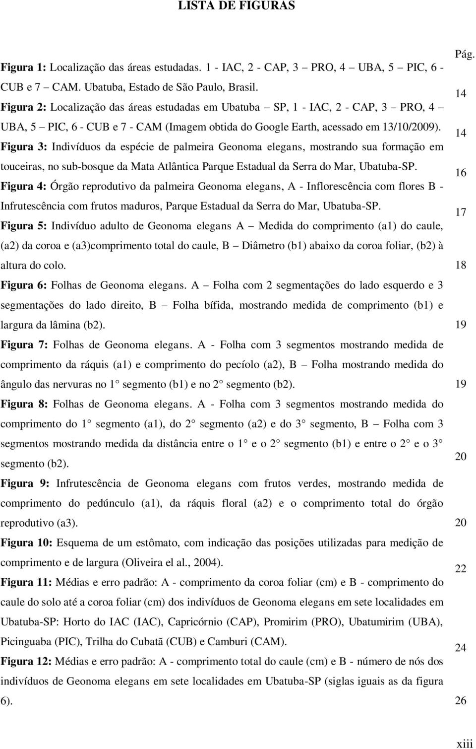 14 Figura 3: Indivíduos da espécie de palmeira Geonoma elegans, mostrando sua formação em touceiras, no sub-bosque da Mata Atlântica Parque Estadual da Serra do Mar, Ubatuba-SP.