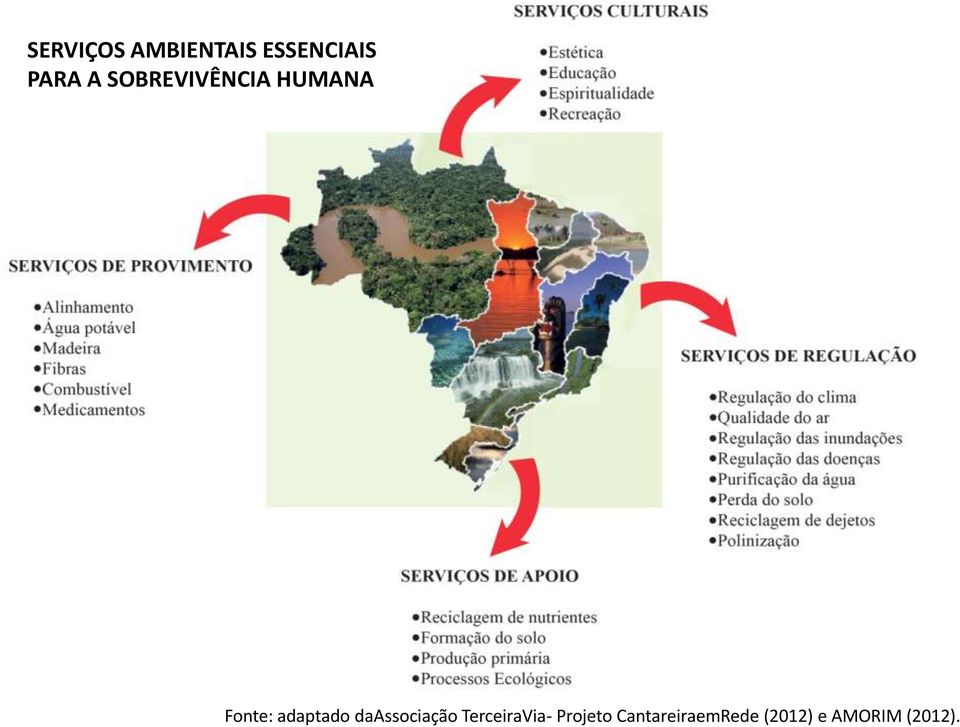 daassociação TerceiraVia- Projeto