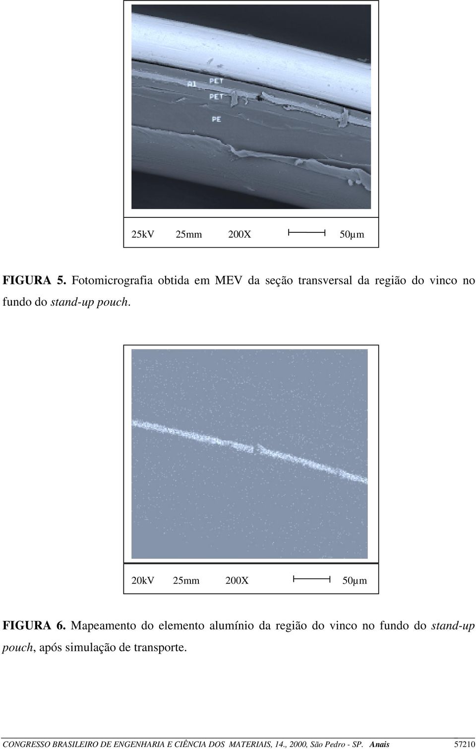 pouch. 20kV 25mm 200X 50µm FIGURA 6.