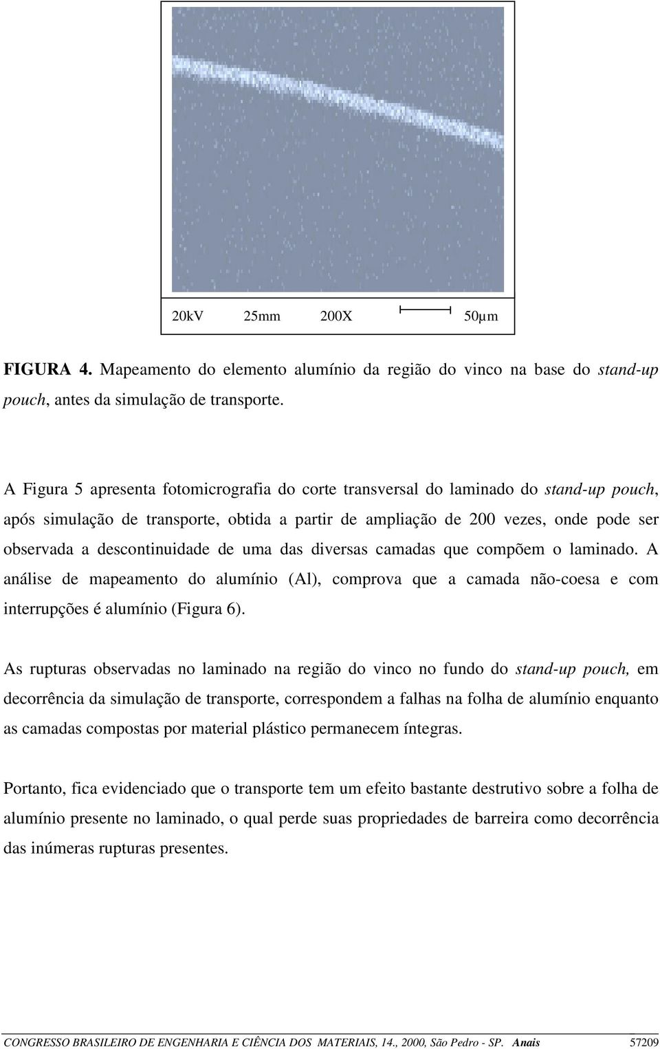 descontinuidade de uma das diversas camadas que compõem o laminado. A análise de mapeamento do alumínio (Al), comprova que a camada não-coesa e com interrupções é alumínio (Figura 6).