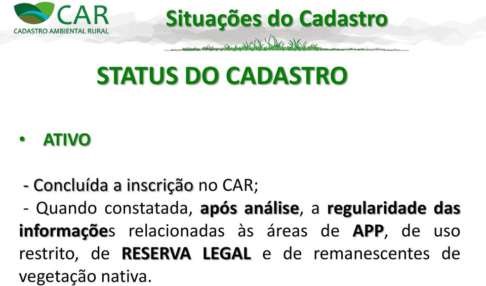 regularidade das informações relacionadas às áreas de APP, de