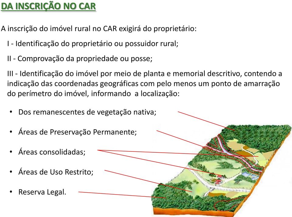 contendo a indicação das coordenadas geográficas com pelo menos um ponto de amarração do perímetro do imóvel, informando a