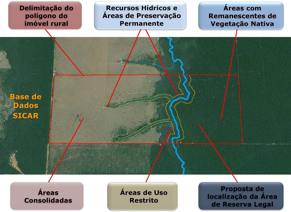 Vegetação Nativa Base de Dados SICAR Áreas Consolidadas Áreas