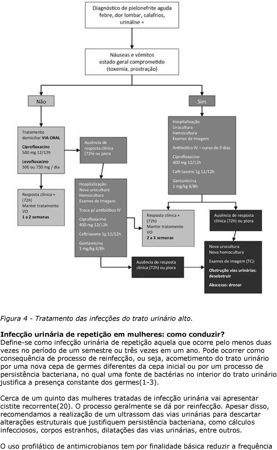 Pode ocorrer como consequência de processo de reinfecção, ou seja, acometimento do trato urinário por uma nova cepa de germes diferentes da cepa inicial ou por um processo de persistência bacteriana,