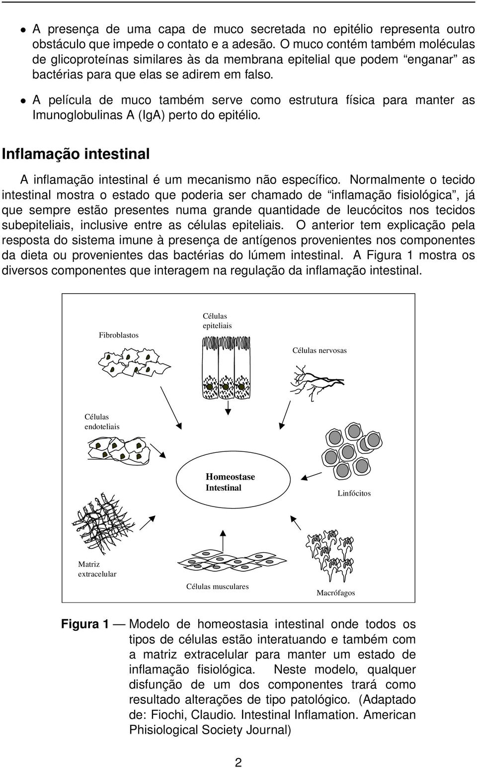A película de muco também serve como estrutura física para manter as Imunoglobulinas A (IgA) perto do epitélio. Inflamação intestinal A inflamação intestinal é um mecanismo não específico.